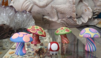 Polymer Clay mushrooms of all sizes both for display and for beading!